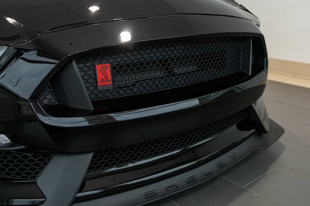 Used 2019 Ford Mustang Shelby GT350R w/ GT350R Equipment Group 920A RWD image 14