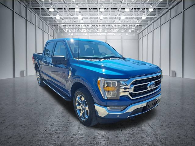 Used 2023 Ford F150 XLT w/ Equipment Group 302A High AWD/4WD image 3