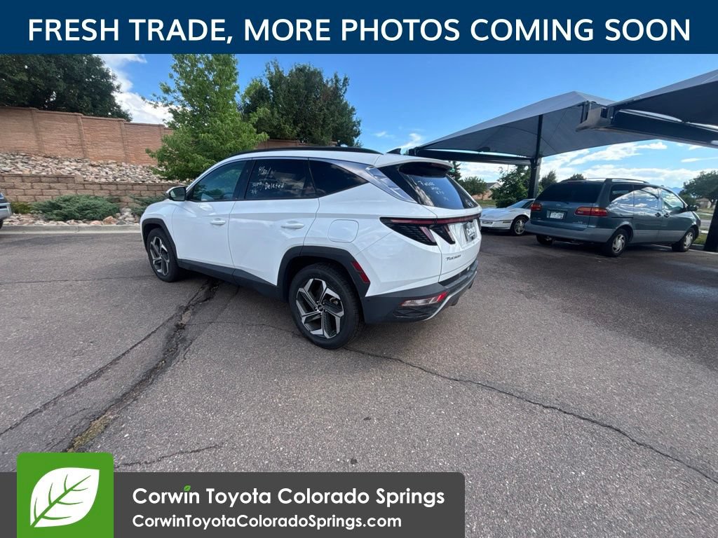 Used 2024 Hyundai Tucson Limited AWD/4WD image 6