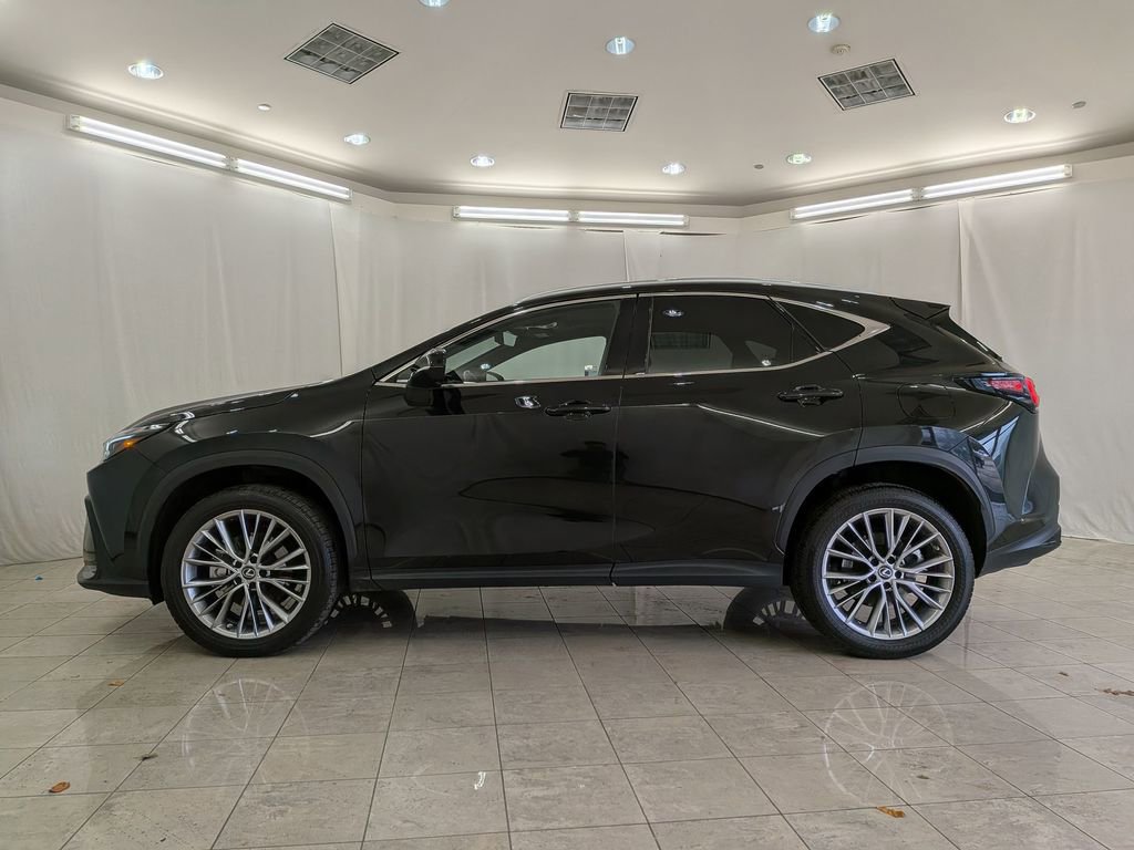 Used 2023 Lexus NX 350 AWD w/ Cold Area Package image 5