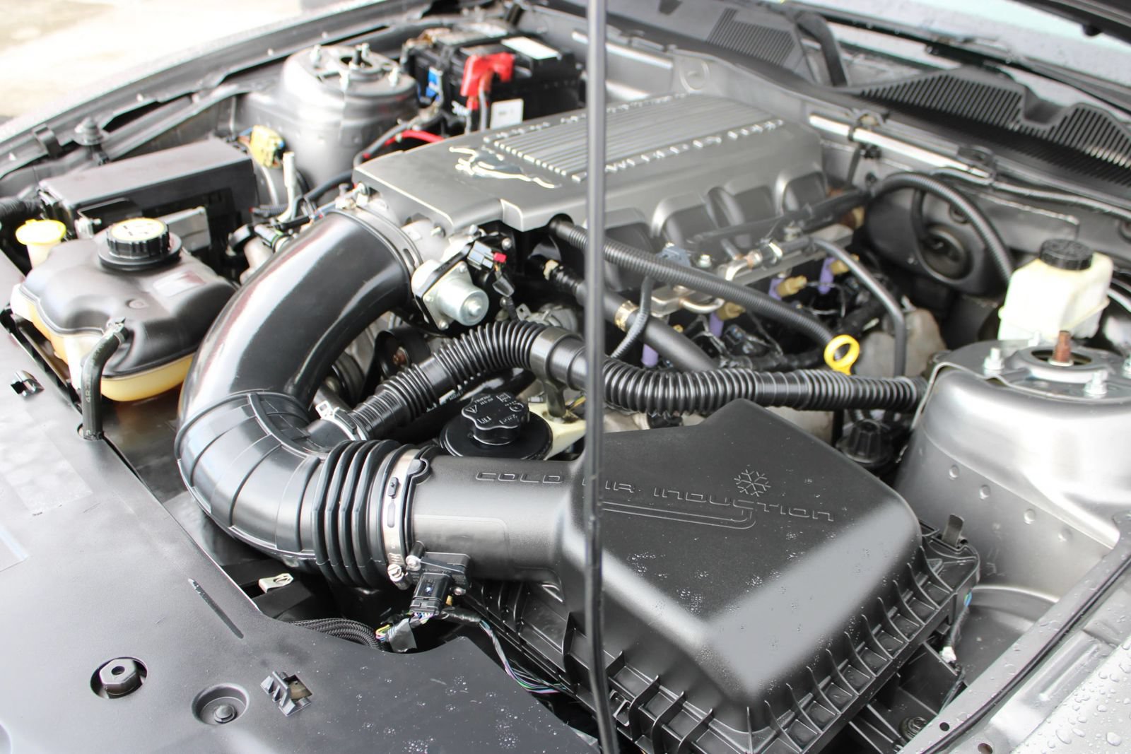 Used 2010 Ford Mustang GT Premium RWD image 19