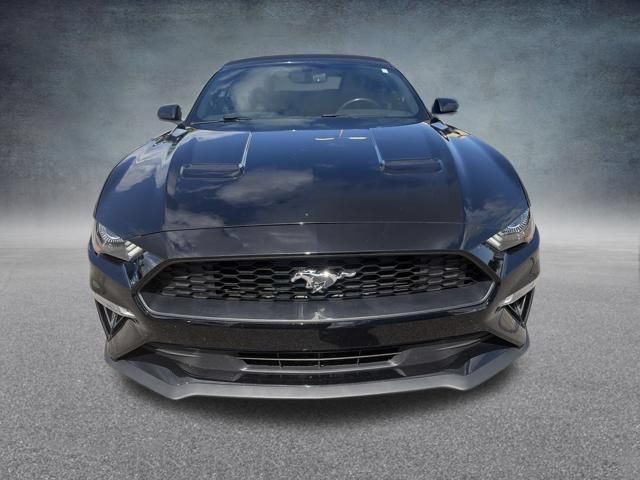Used 2019 Ford Mustang Premium RWD image 3