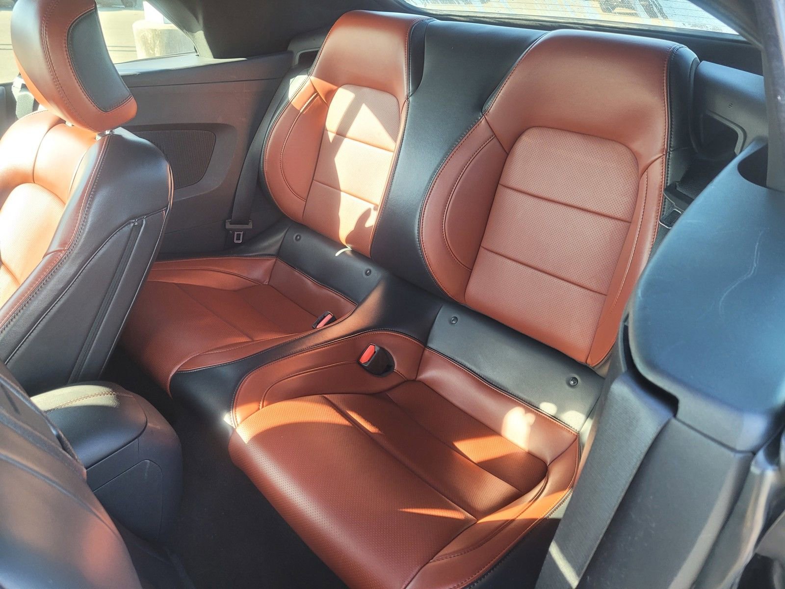 Used 2024 Ford Mustang Premium image 12