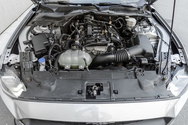 Used 2022 Ford Mustang Premium w/ Equipment Group 201A image 14