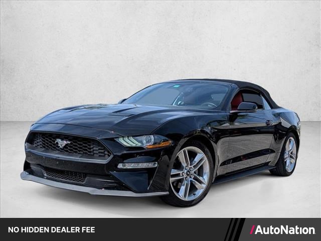 Used 2019 Ford Mustang Premium w/ Equipment Group 201A RWD image 1