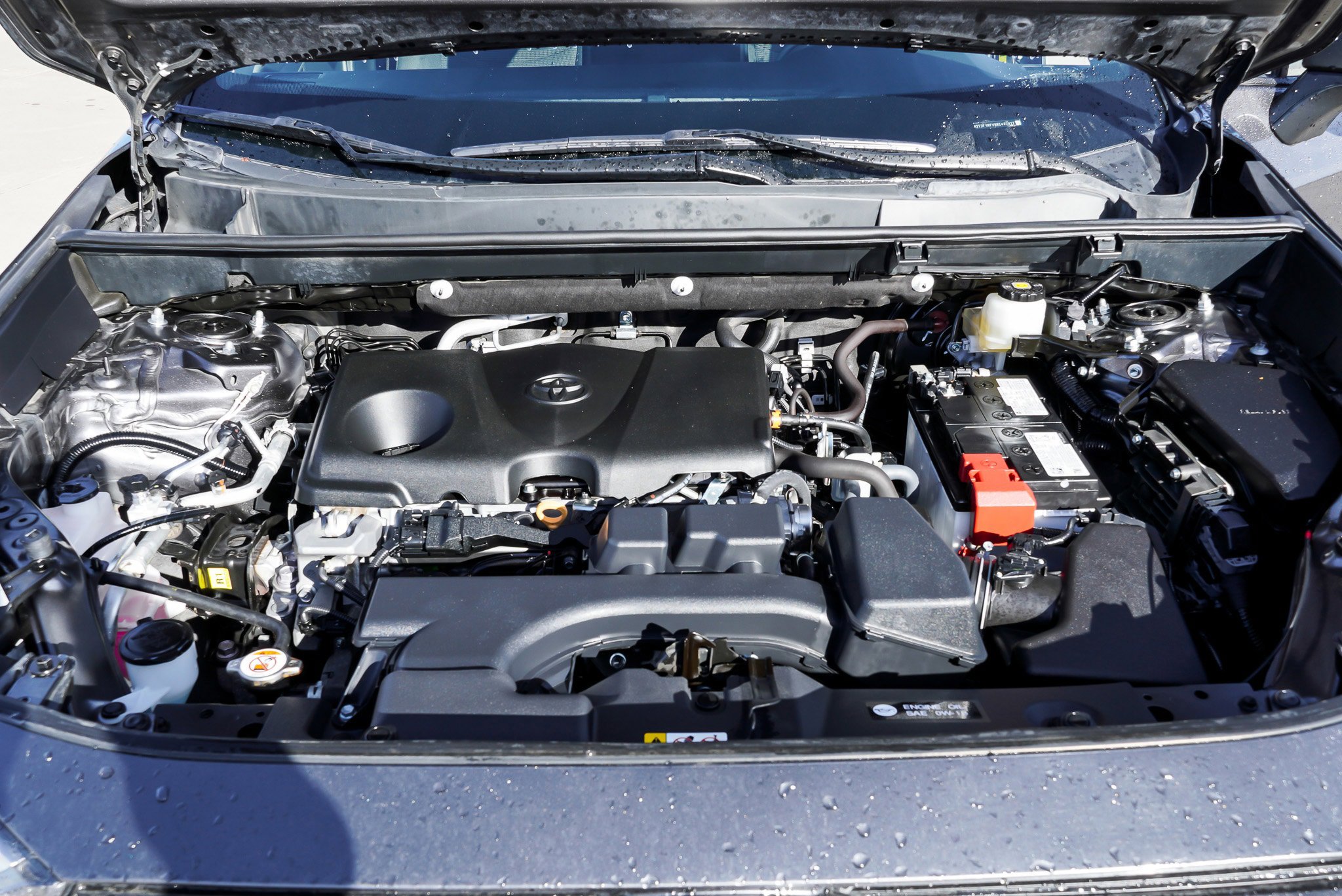 Certified 2024 Toyota RAV4 LE image 15