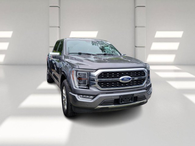 Used 2023 Ford F150 Platinum RWD image 3