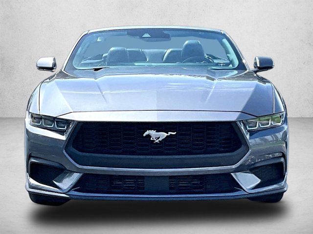 Used 2024 Ford Mustang Premium RWD image 3