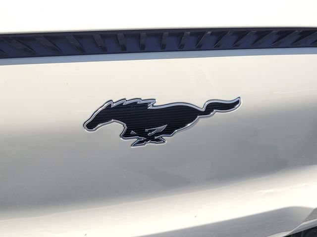 New 2026 Ford Mustang Mach-E Select w/ Interior Protection Package RWD image 9
