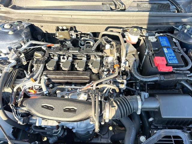 Certified 2024 Honda Accord EX image 33