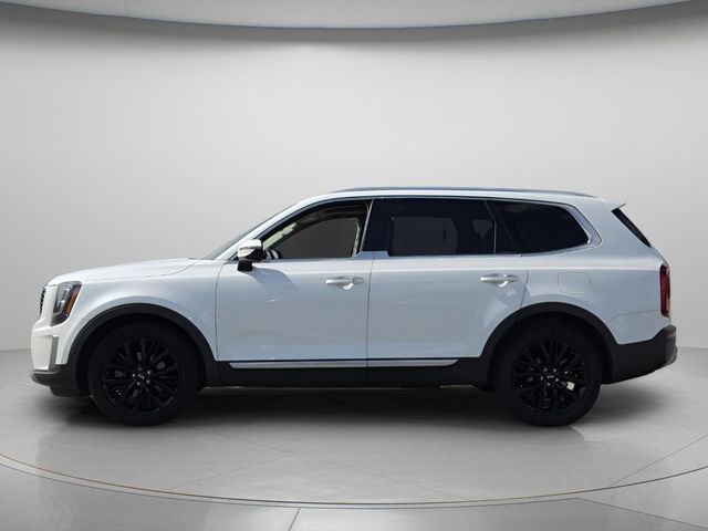 Used 2020 Kia Telluride SX w/ SX Prestige Package image 3