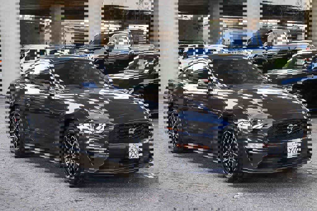 Used 2023 Ford Mustang EcoBoost w/ Equipment Group 101A image 3