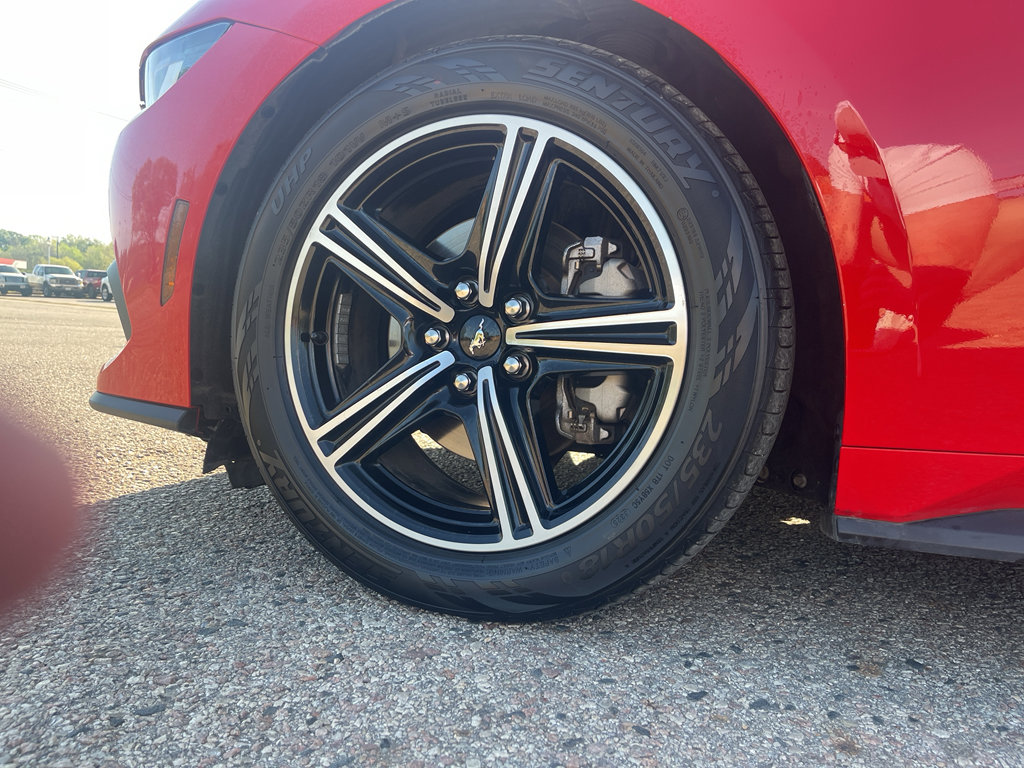 Used 2024 Ford Mustang Premium image 2