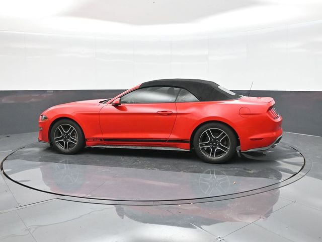 Used 2019 Ford Mustang Premium RWD image 5