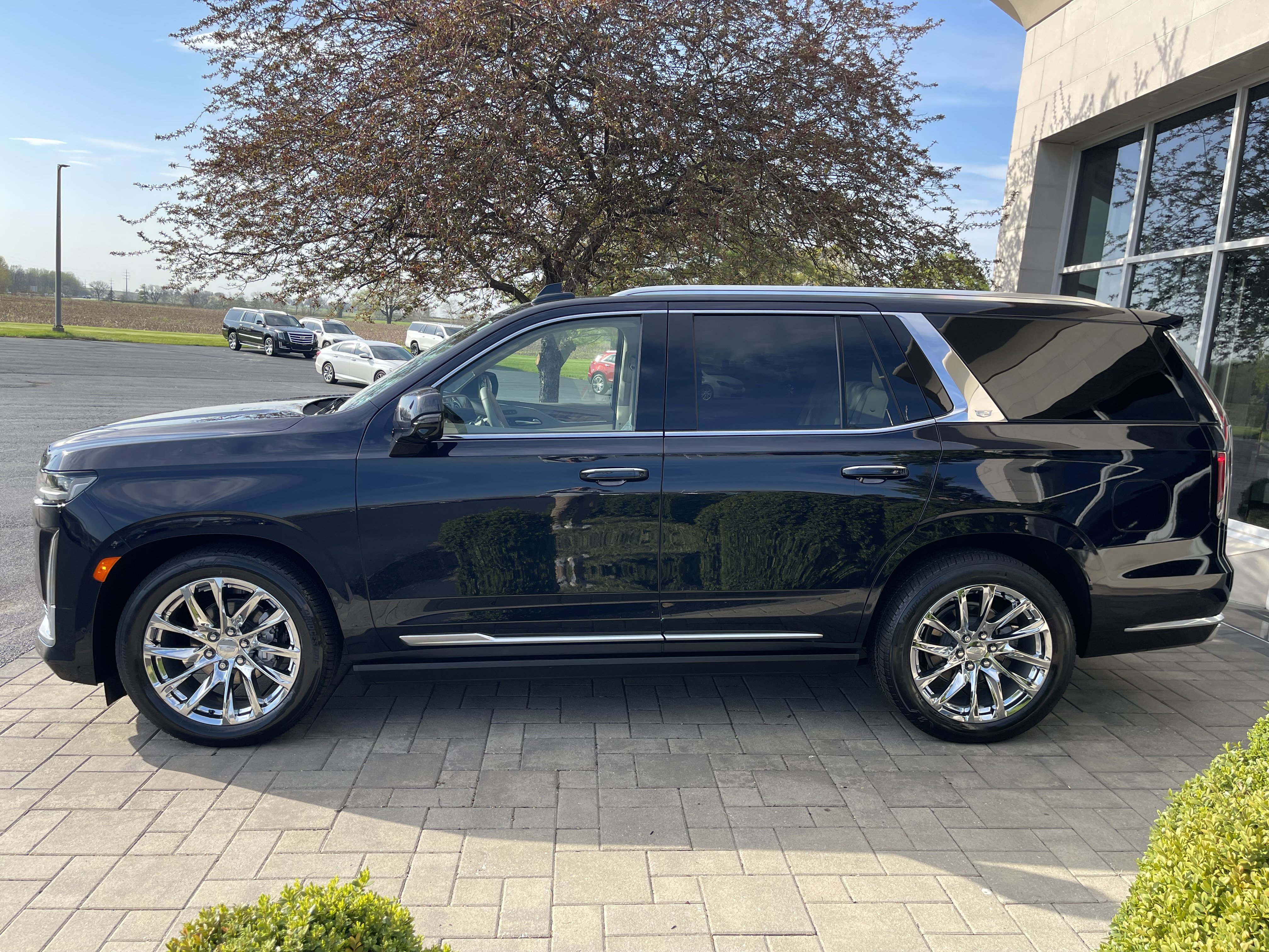 Used 2021 Cadillac Escalade Premium Luxury Platinum image 5