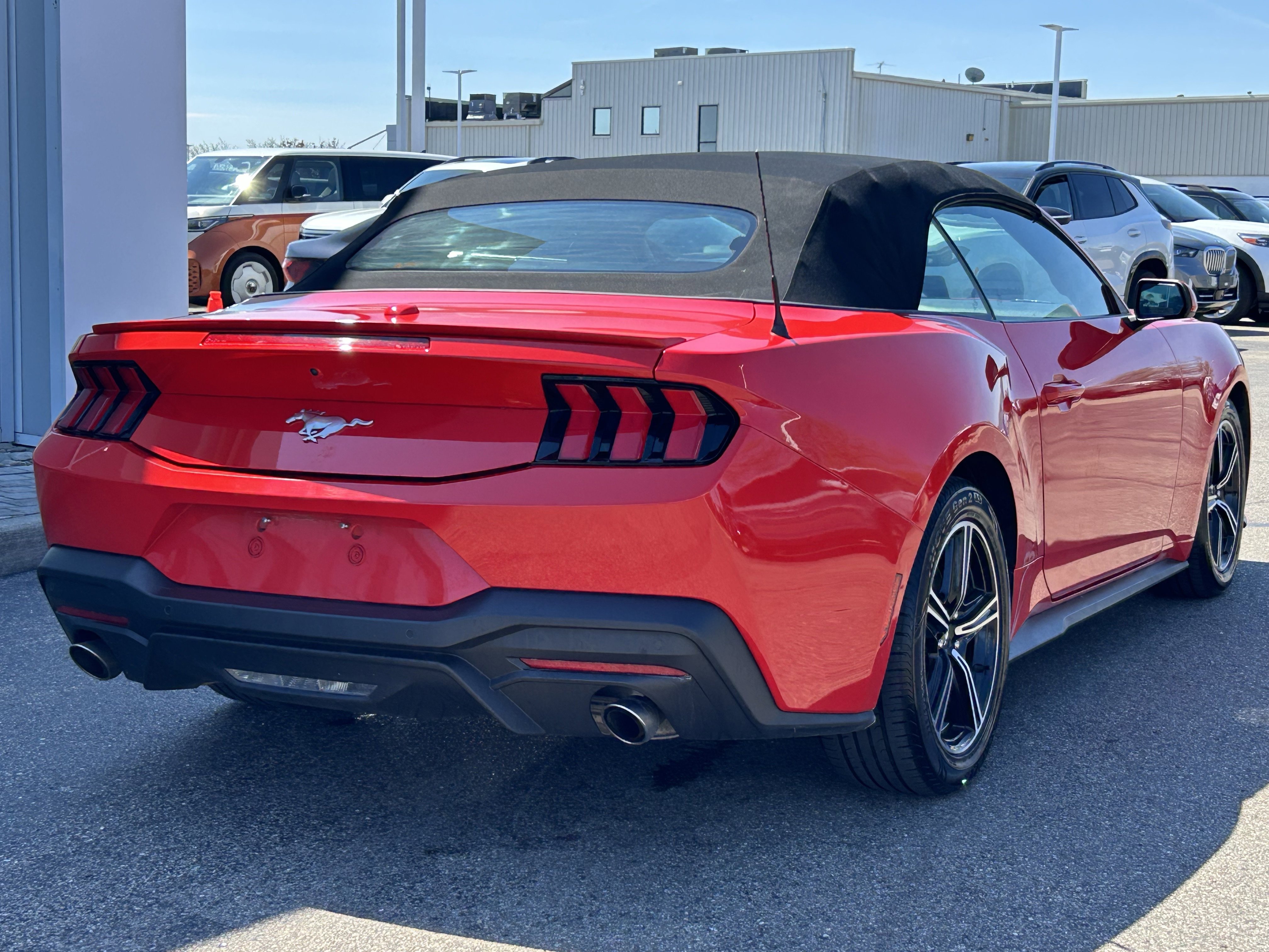 Used 2024 Ford Mustang Premium image 7