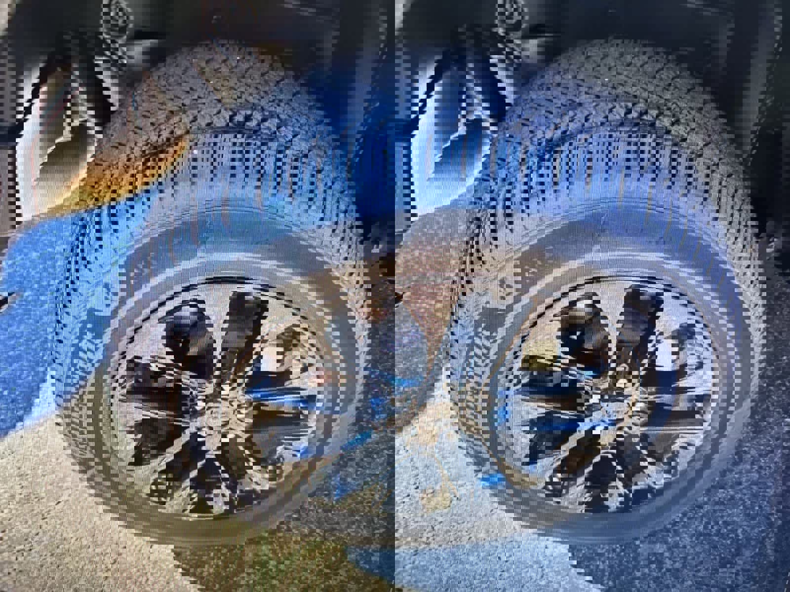 Used 2021 Jeep Wrangler Unlimited Sahara w/ Cold Weather Group image 18