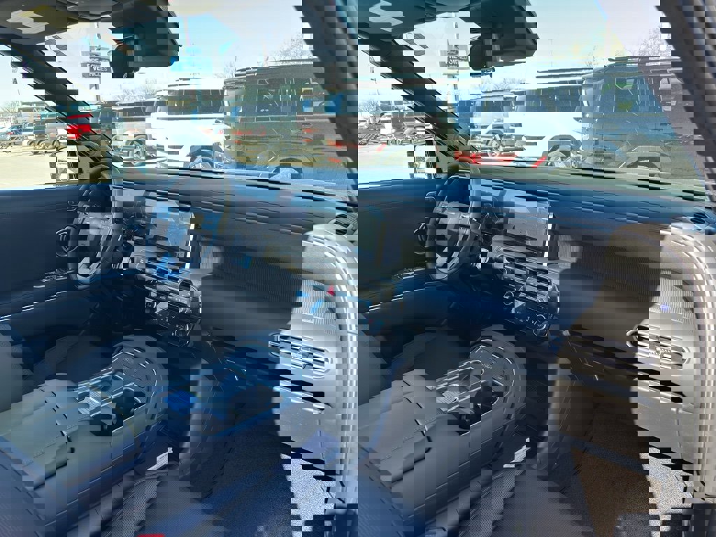 New 2026 Hyundai Palisade Calligraphy image 30