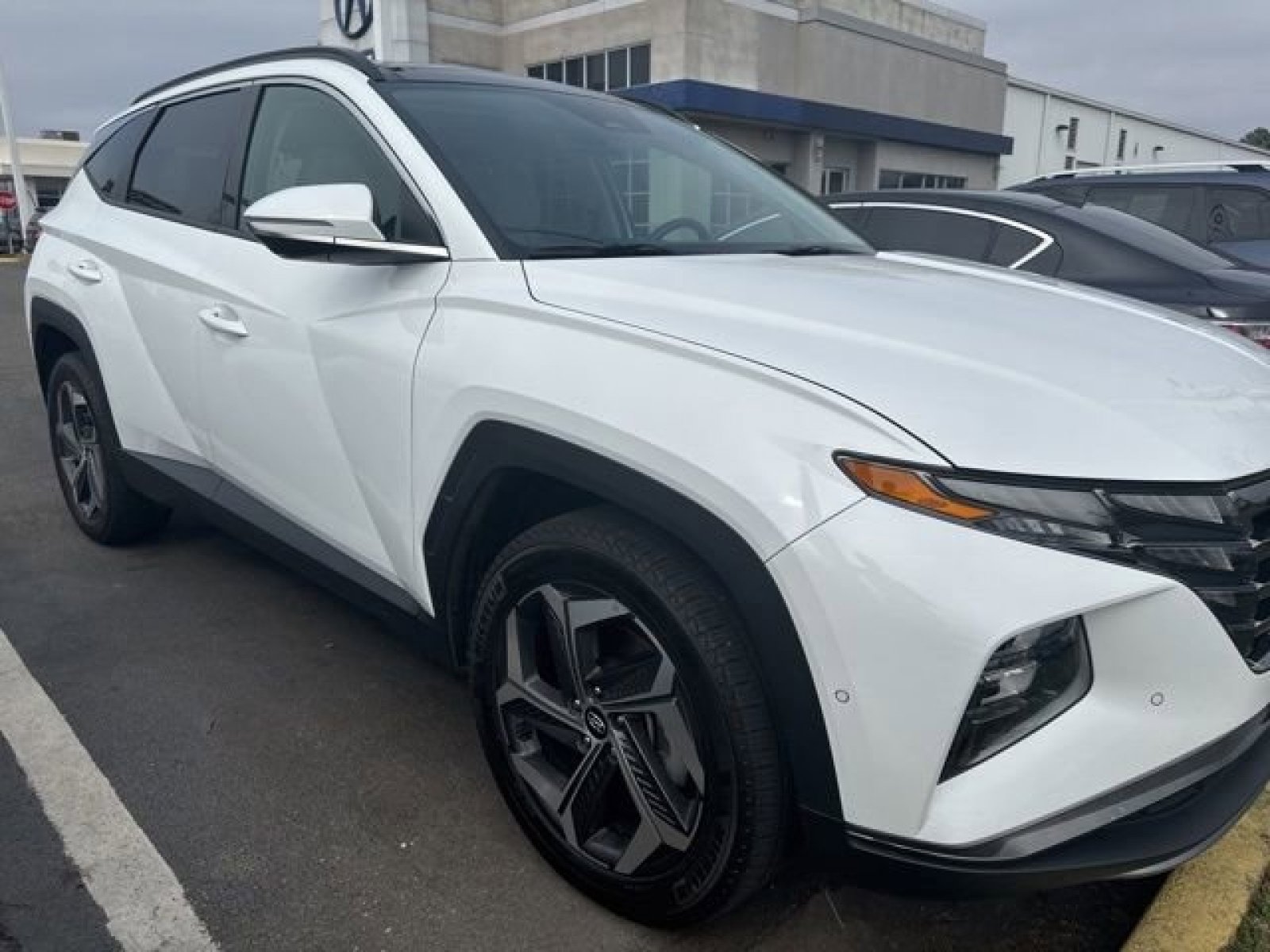 Used 2024 Hyundai Tucson Limited image 2