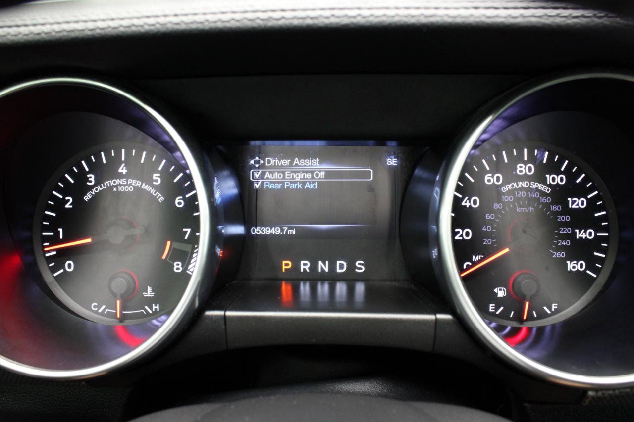 Used 2019 Ford Mustang GT w/ Equipment Group 301A RWD image 66