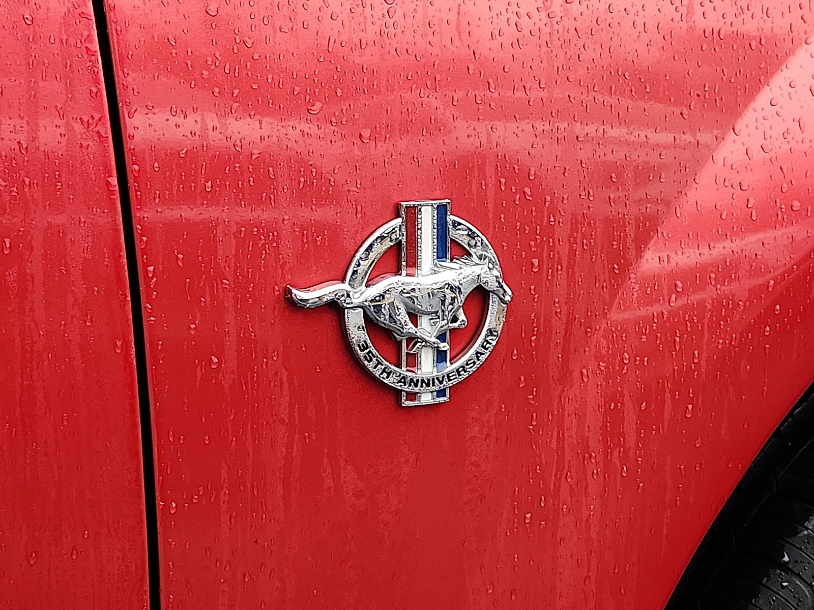 Used 1999 Ford Mustang Coupe image 37