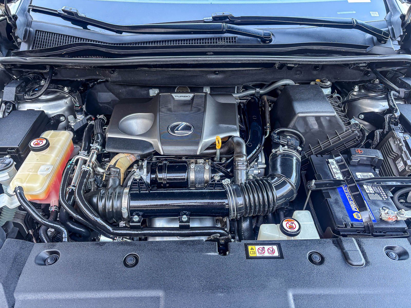 Used 2019 Lexus NX 300 F Sport w/ F Sport Comfort Package image 14