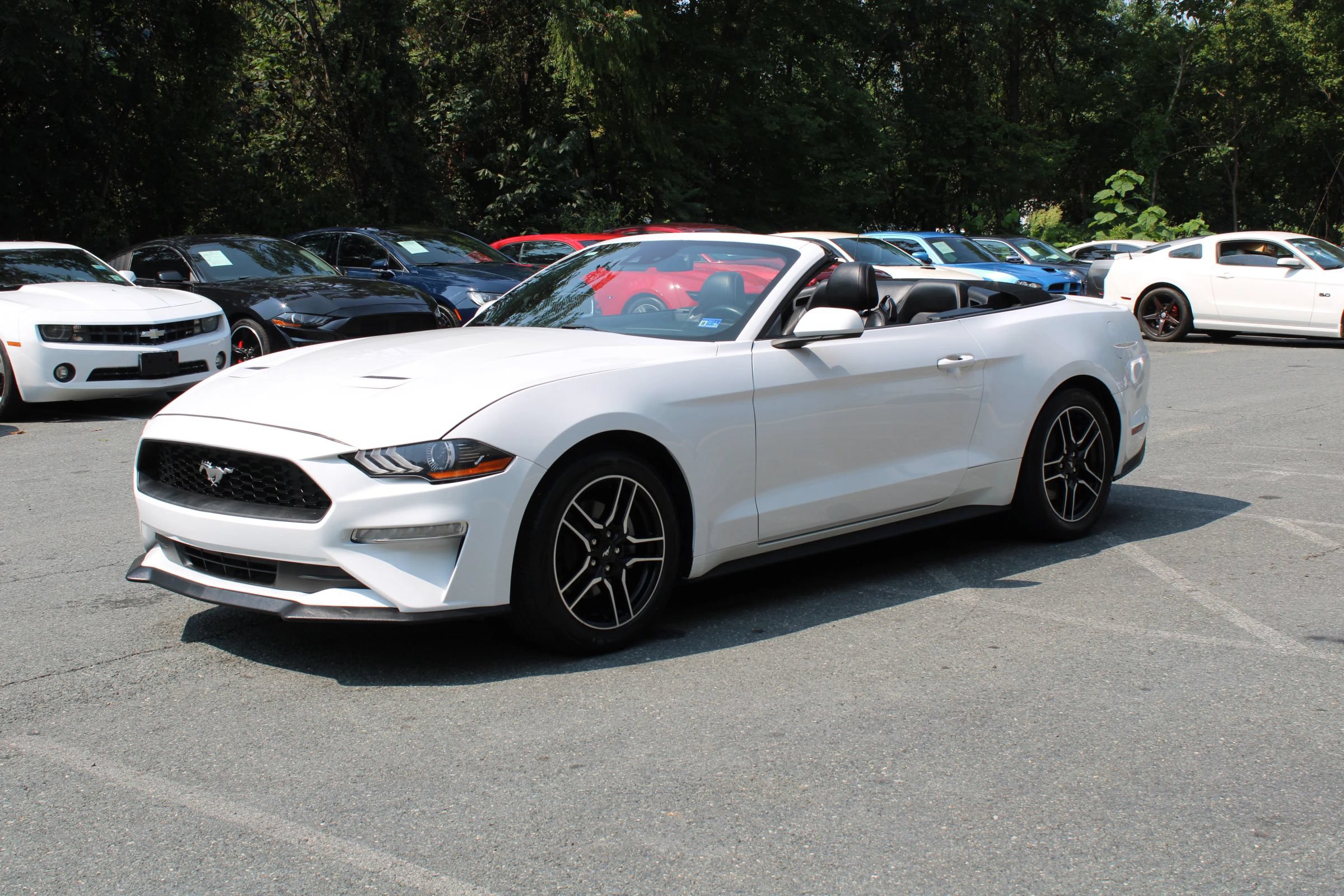 Used 2022 Ford Mustang Premium RWD image 6
