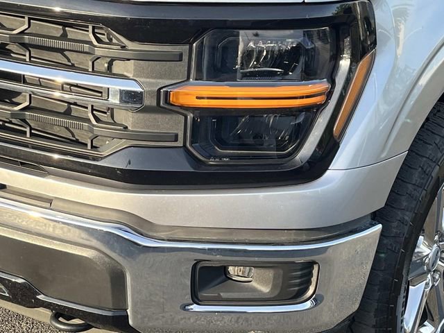 Used 2025 Ford F150 XLT w/ Equipment Group 301A Standard AWD/4WD image 11