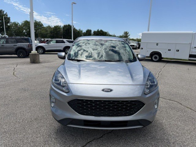 Used 2022 Ford Escape SEL w/ Technology Package FWD image 2