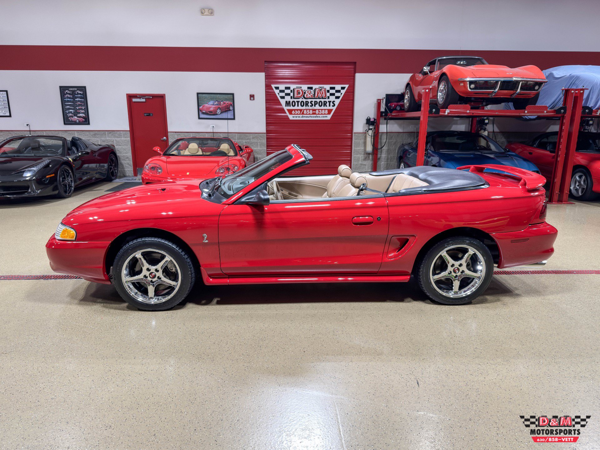 Used 1997 Ford Mustang SVT Cobra RWD image 2