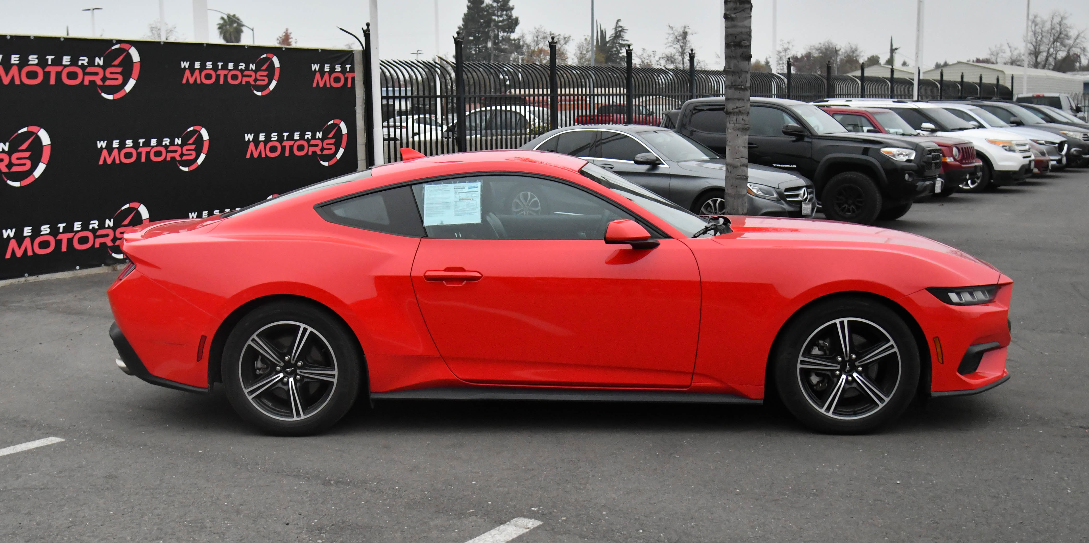 Used 2024 Ford Mustang Premium image 9