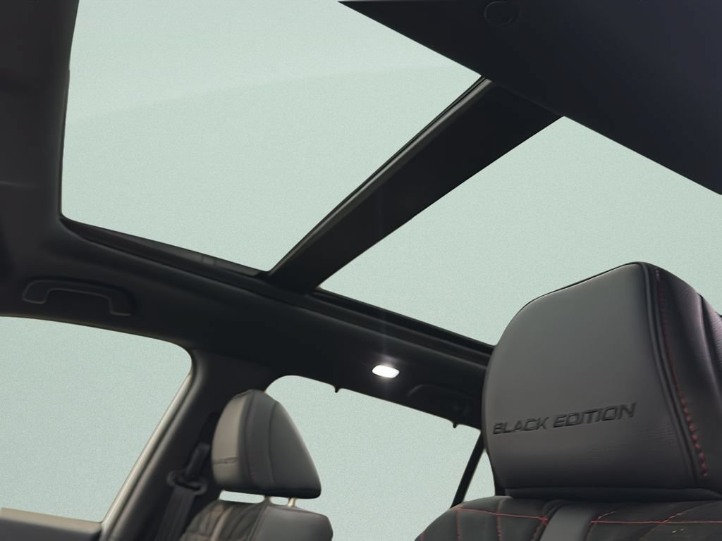New 2026 Honda Pilot Black Edition image 15