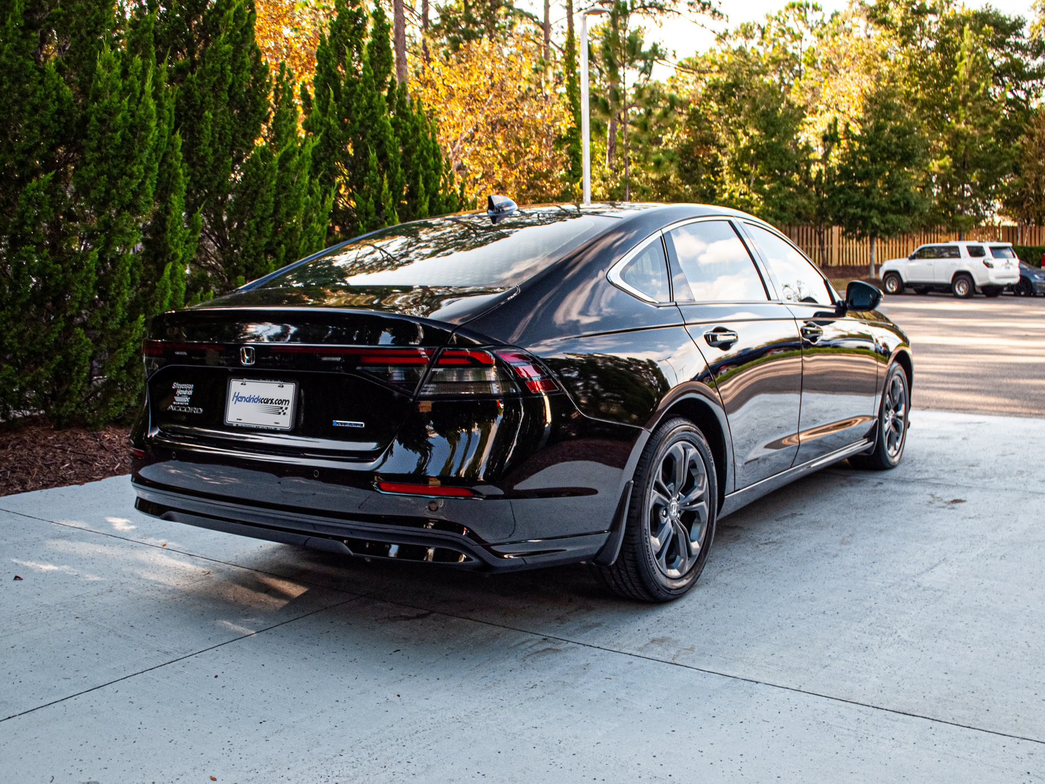 Used 2025 Honda Accord EX-L image 10