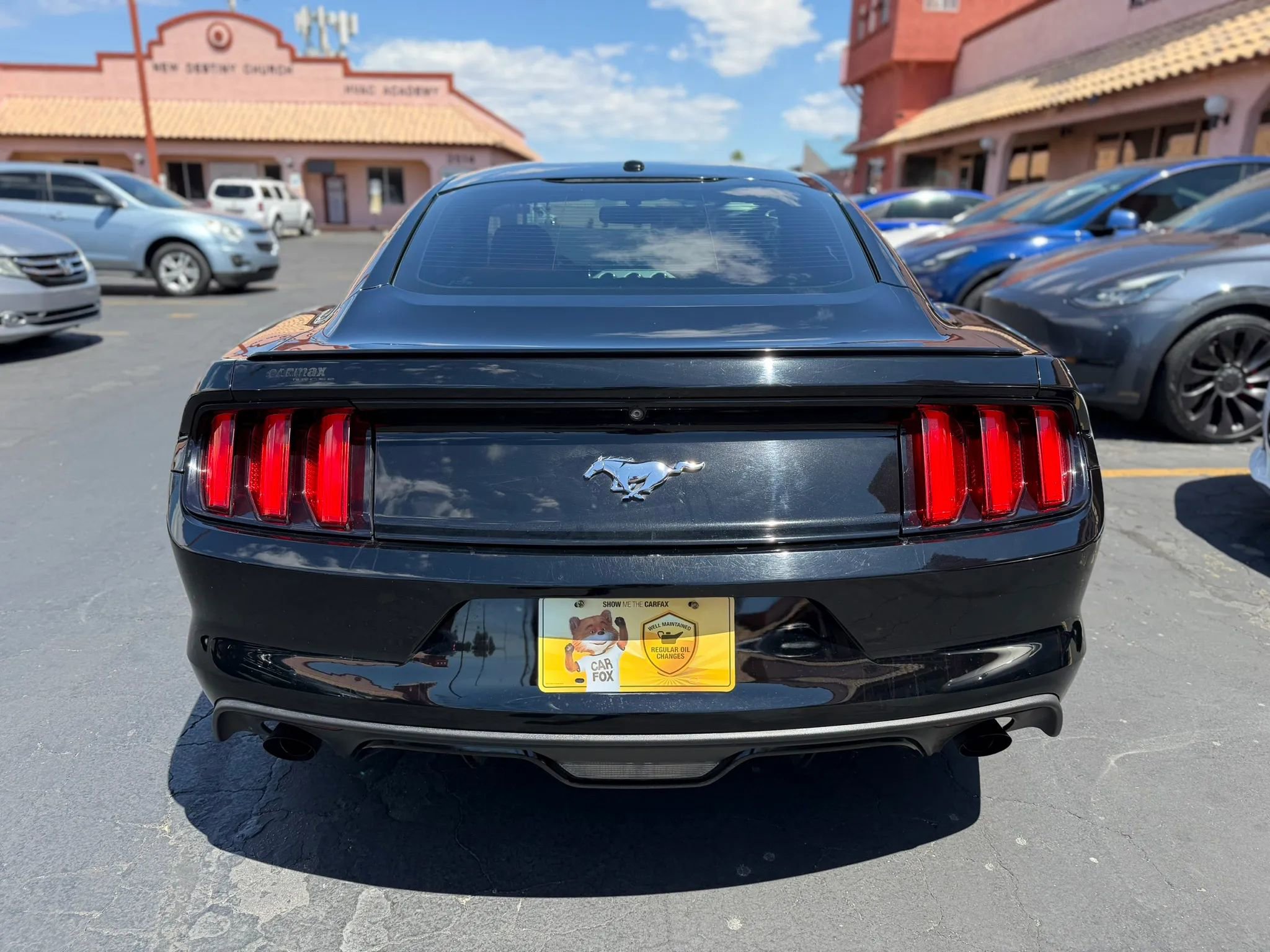 Used 2017 Ford Mustang Premium w/ Equipment Group 201A RWD image 7