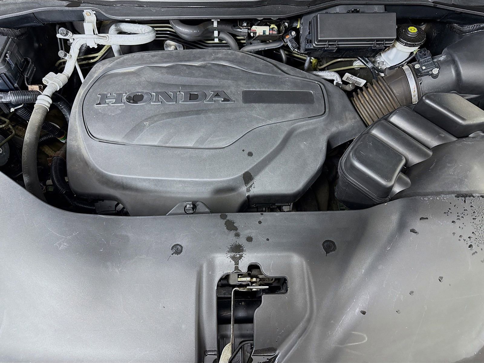 Used 2021 Honda Pilot Special Edition image 28