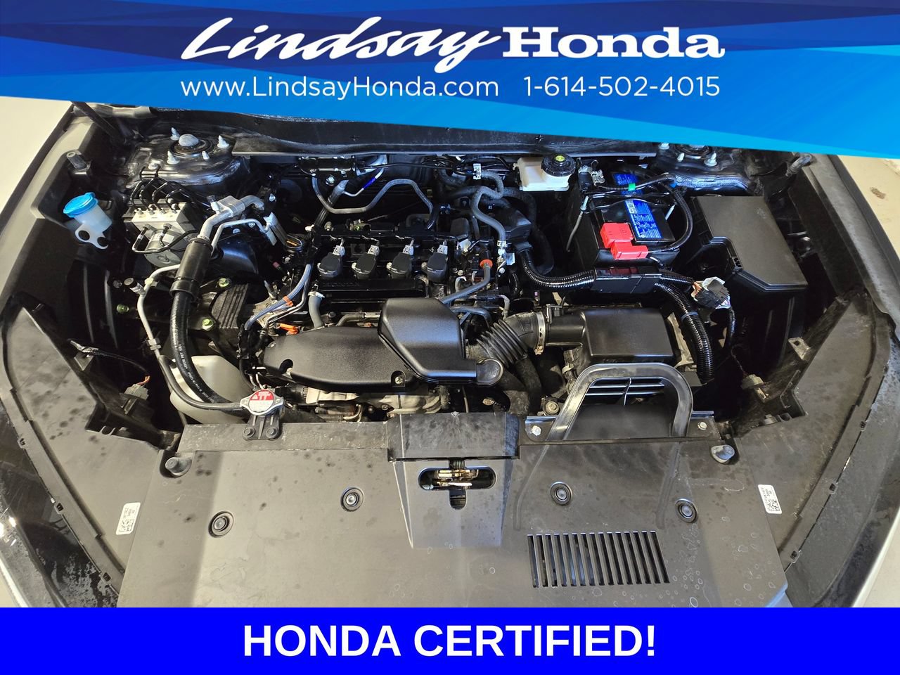 Certified 2024 Honda CR-V EX-L image 25