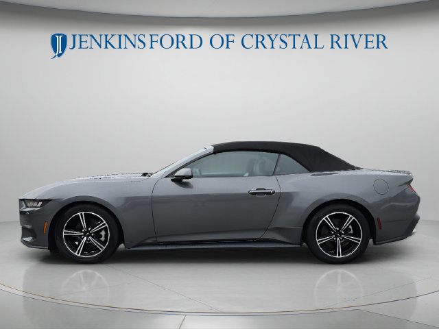 Used 2024 Ford Mustang Premium RWD image 10