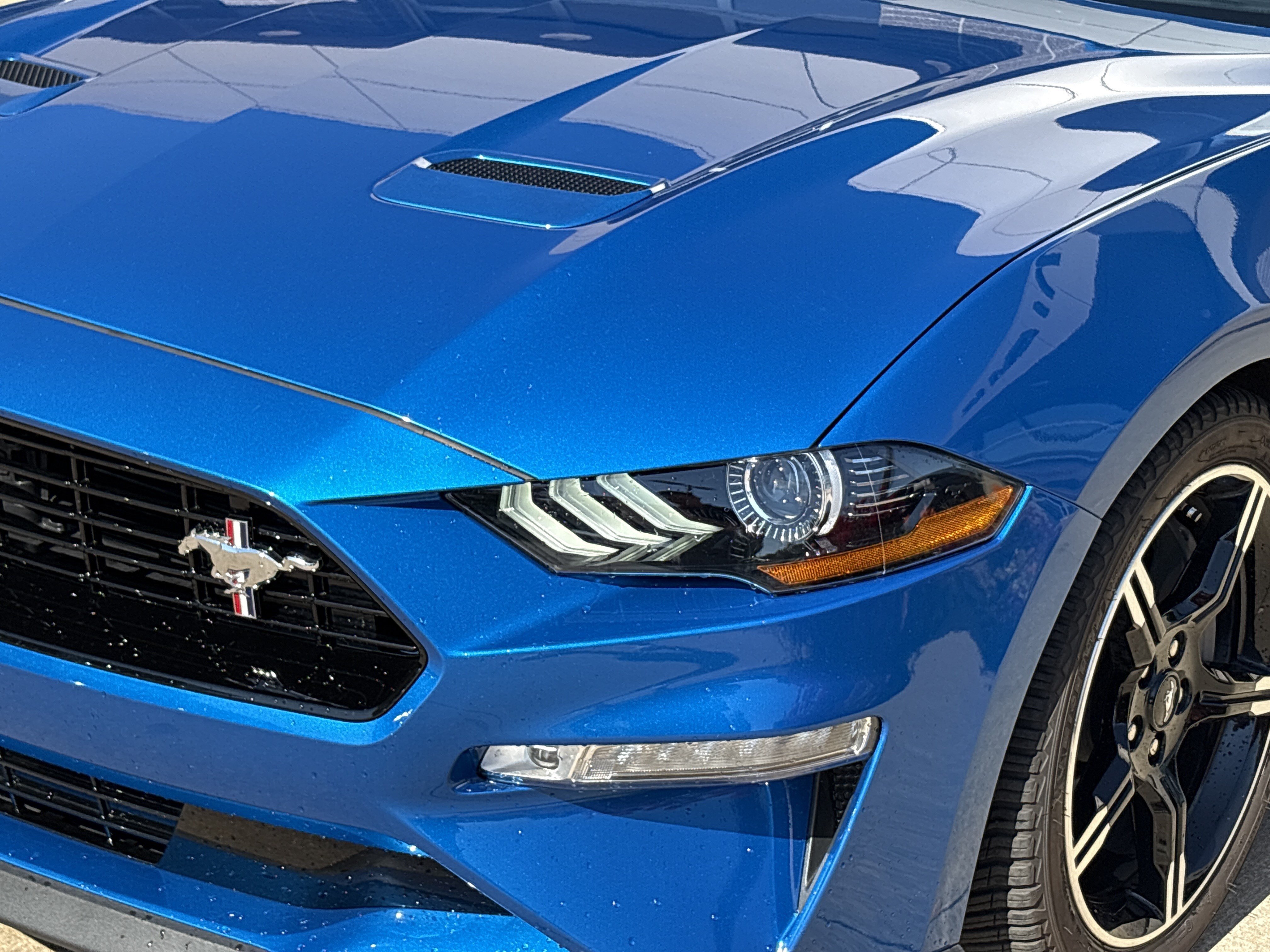 Used 2020 Ford Mustang GT Premium w/ Equipment Group 401A RWD image 6