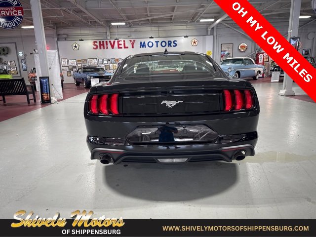 Used 2022 Ford Mustang EcoBoost image 4
