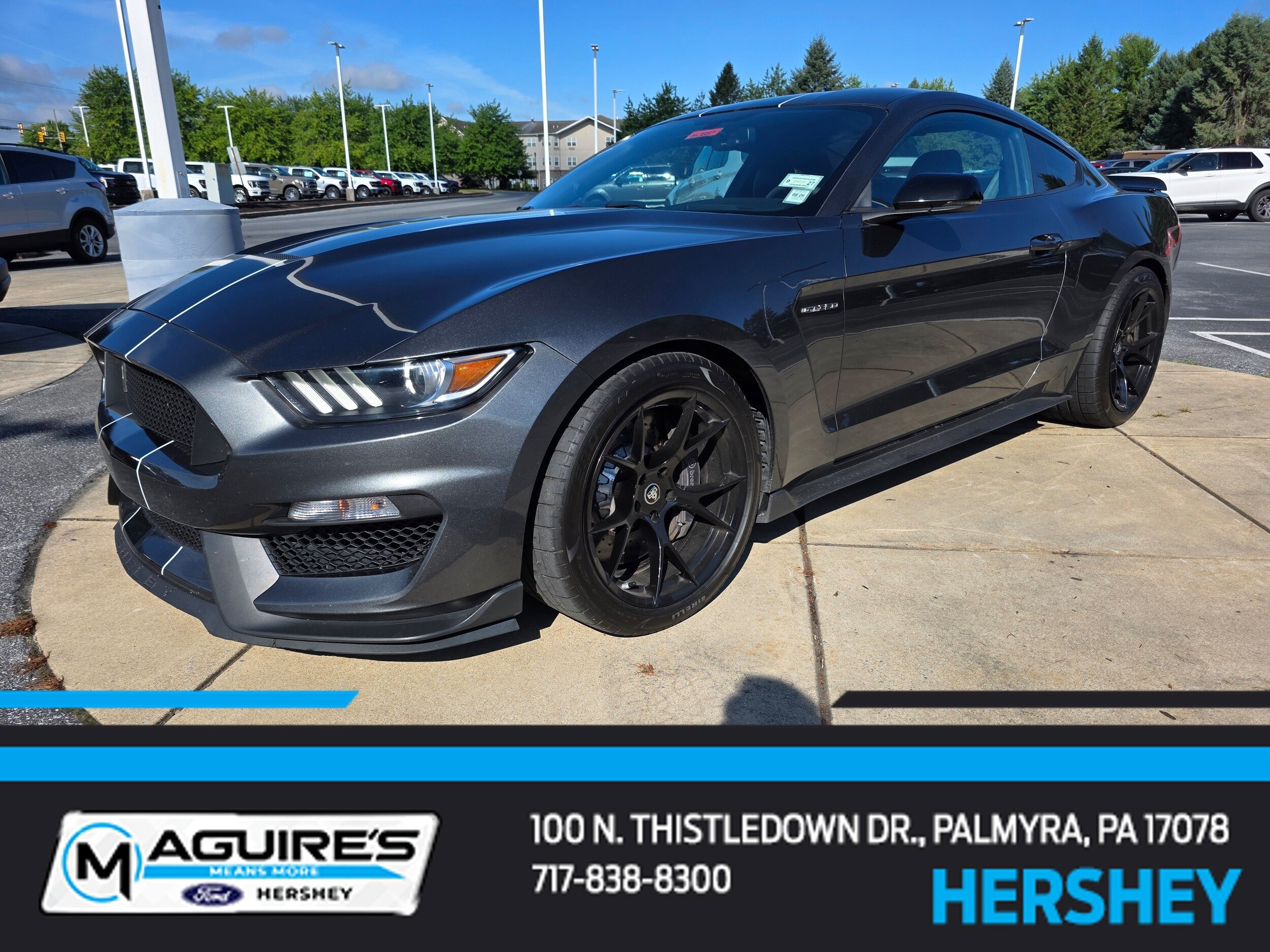 Certified 2018 Ford Mustang Shelby GT350 w/ Convenience Package RWD video 1
