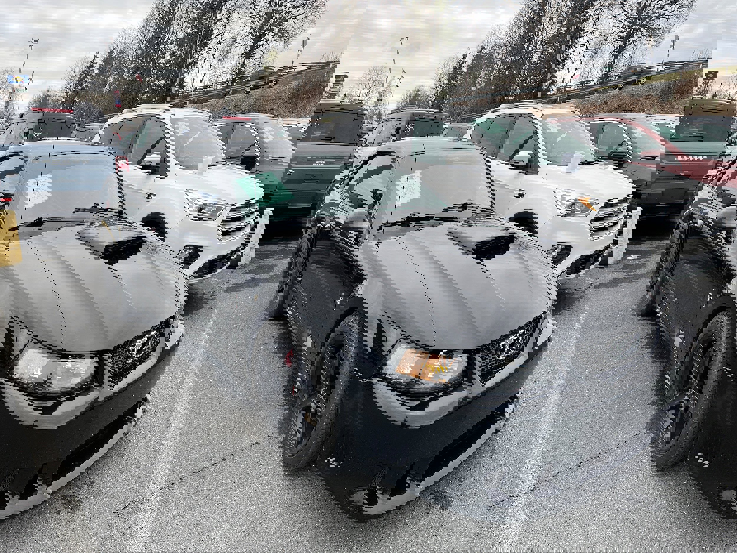 Used 2001 Ford Mustang GT image 3