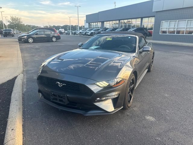Used 2018 Ford Mustang Premium RWD image 4