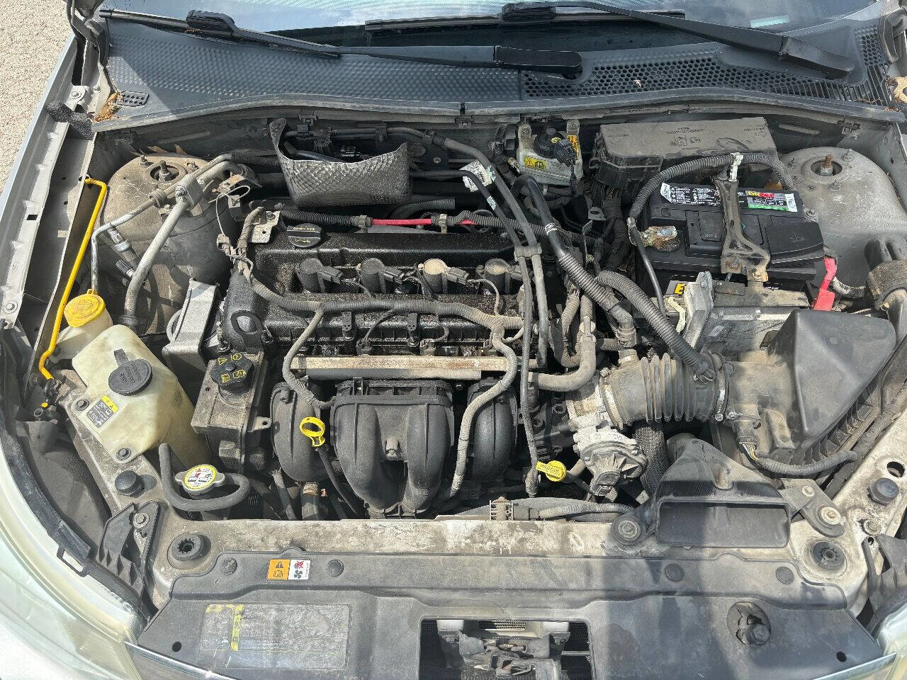 Used 2009 Ford Focus SES image 15