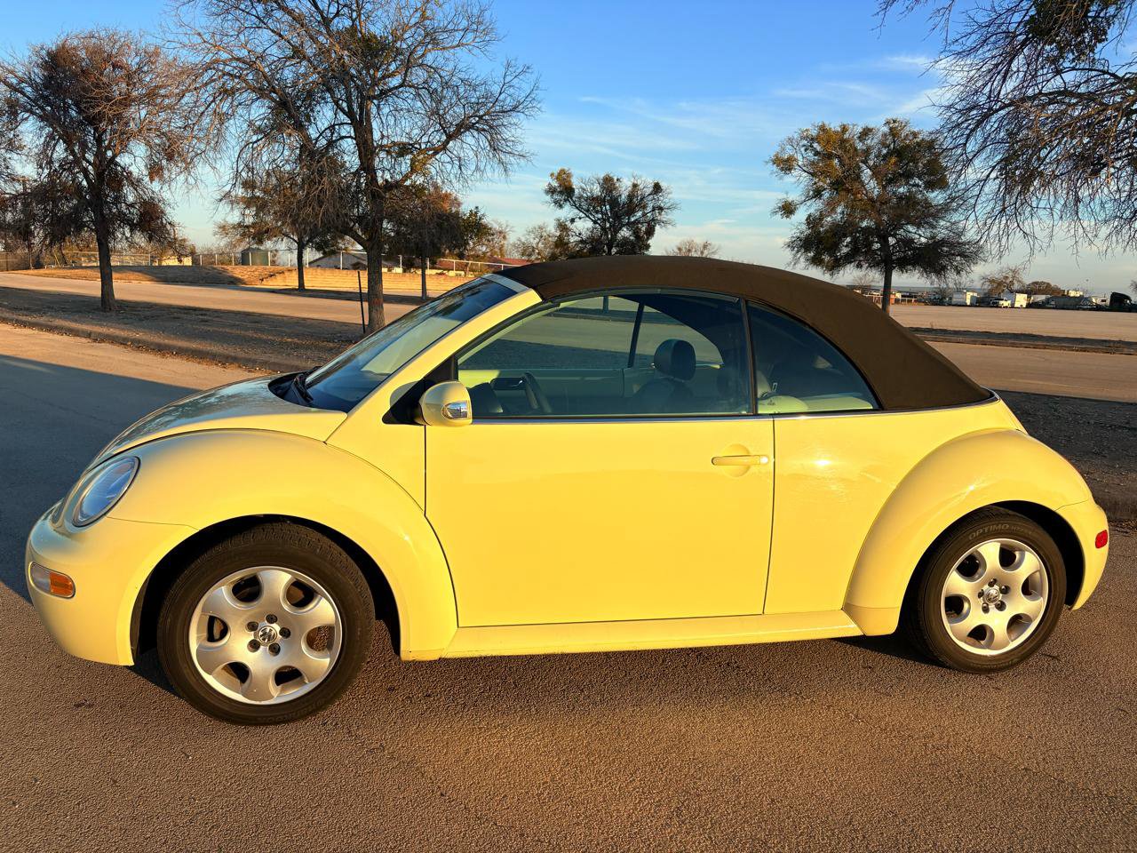 Used 2003 Volkswagen Beetle GLS image 51