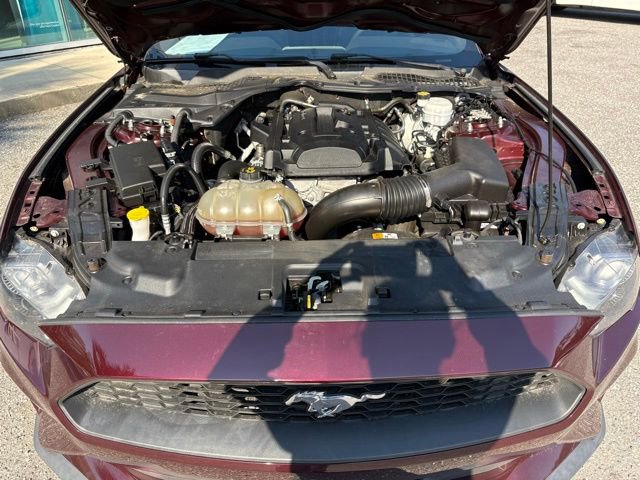 Used 2018 Ford Mustang Premium image 27