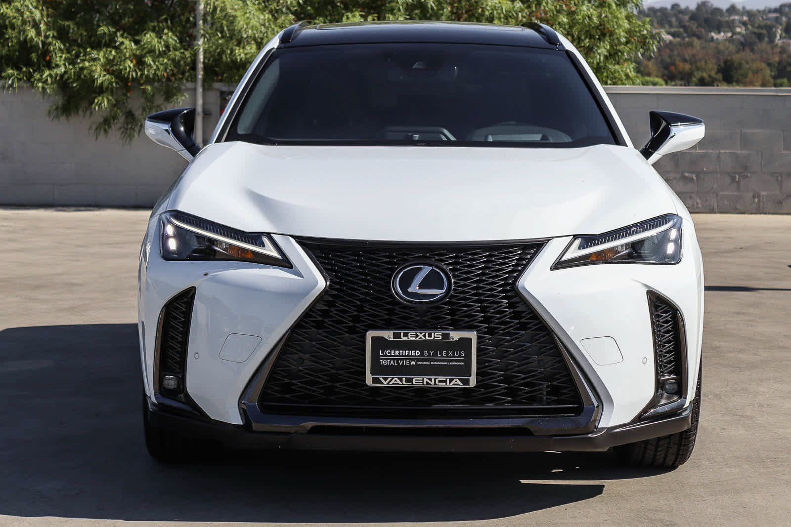 Certified 2024 Lexus UX 250h F Sport FWD image 6