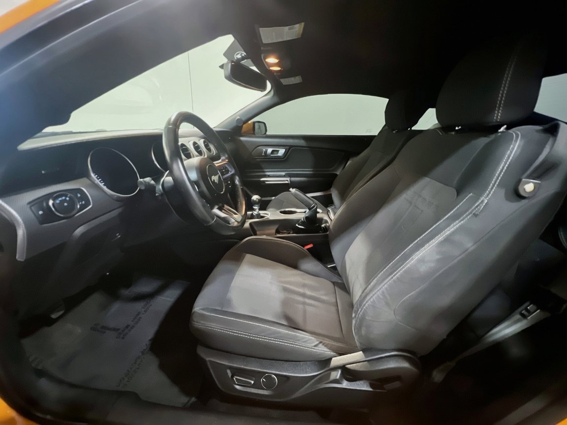 Used 2019 Ford Mustang GT RWD image 14