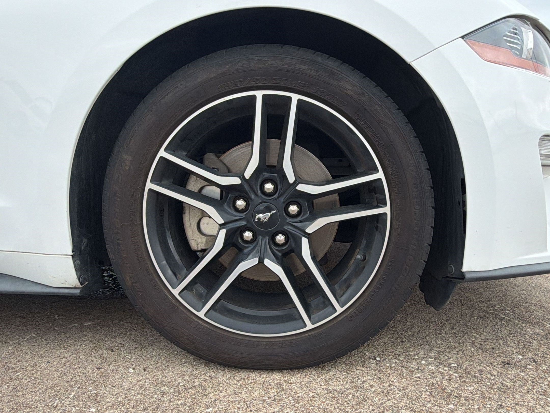 Used 2019 Ford Mustang Premium RWD image 12