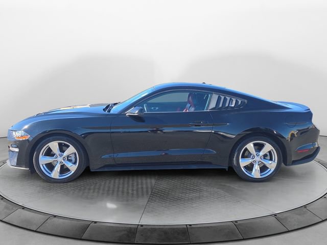 Used 2019 Ford Mustang Premium w/ Equipment Group 201A image 2