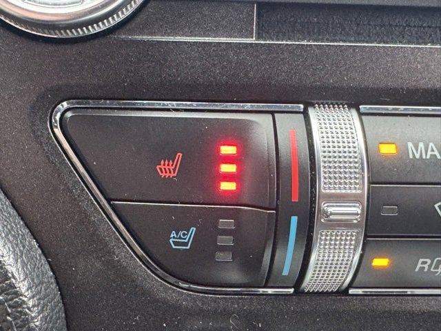 Used 2017 Ford Mustang GT Premium w/ Equipment Group 401A image 21